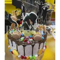 Любимый певец