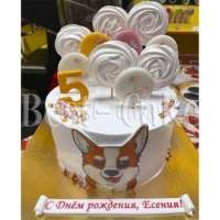 Любимая Корги