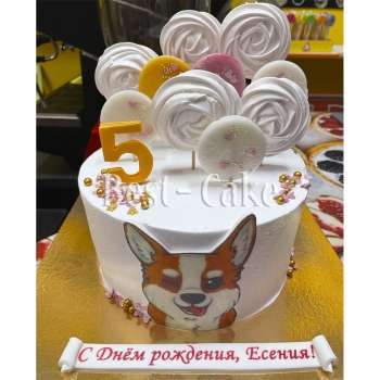 Любимая Корги
